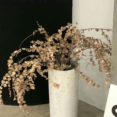 兽设星空元素设计FurryQQ群